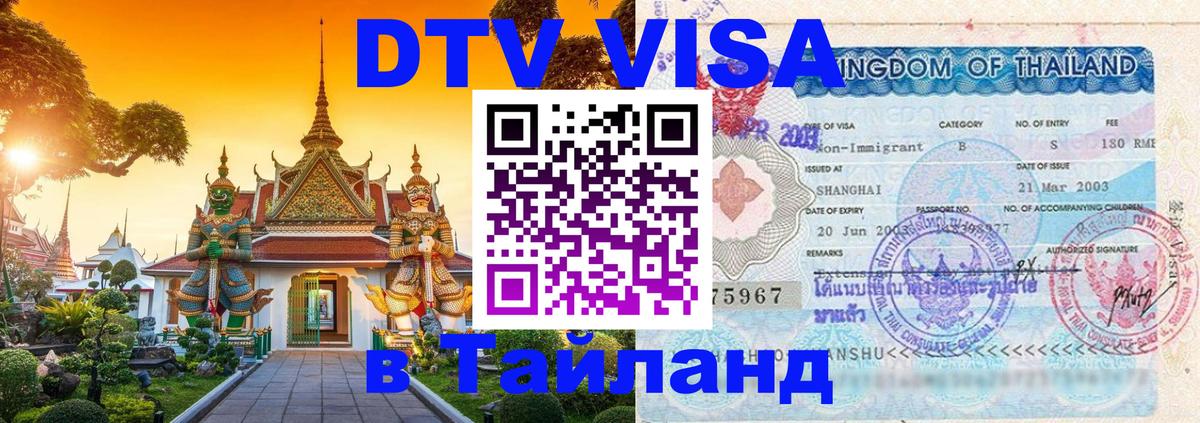 Оформление DTV визы под ключ: стоимость и тарифы, только загранпаспорт - 